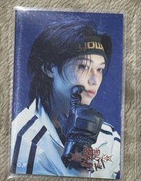 菲（需帶彬寅）