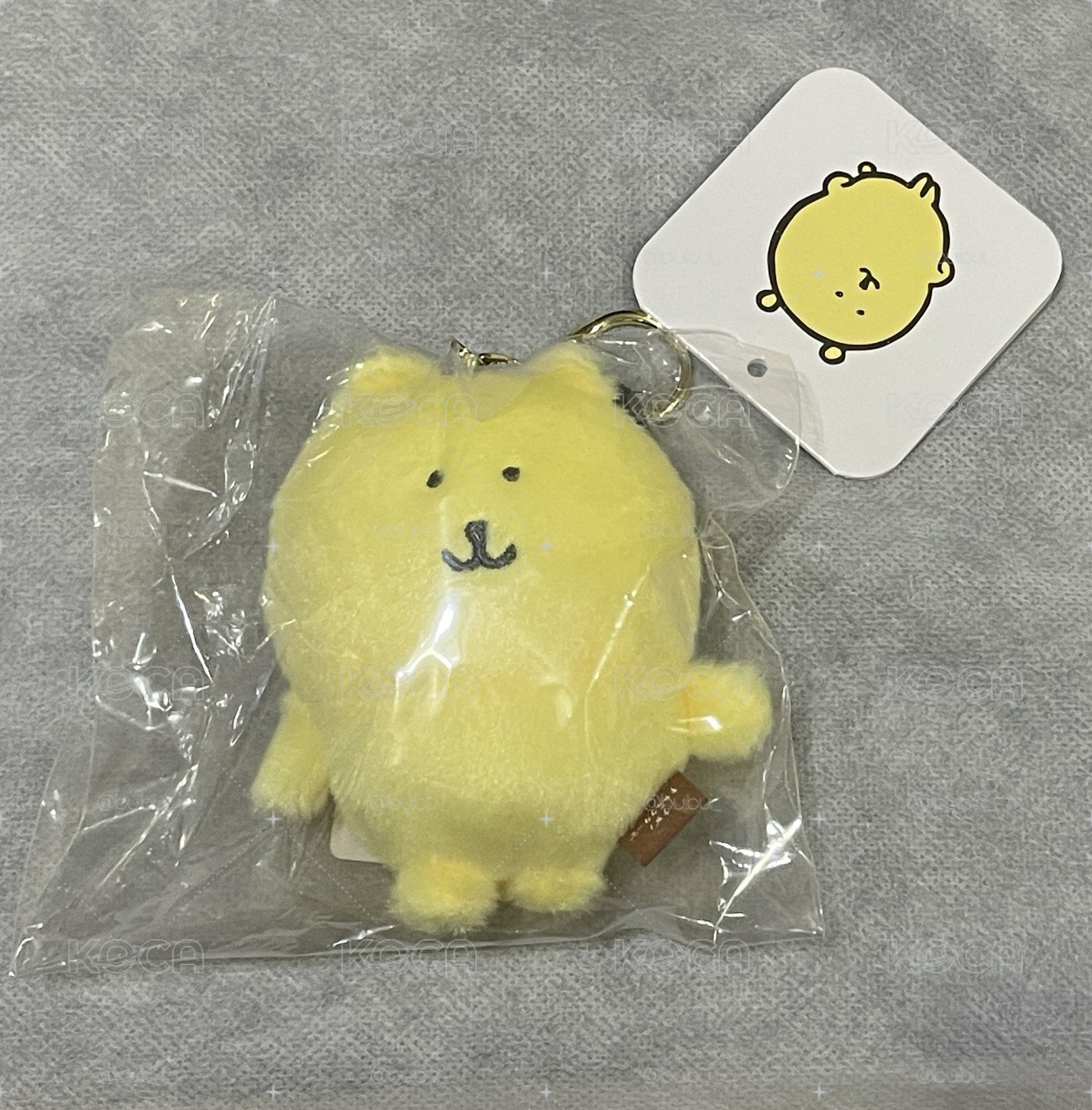 彩色熊 台灣限定 亮黃色