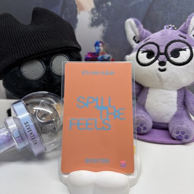 🍕碩珉DK｜MINI12｜wvs 幸運卡｜LD特典