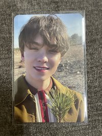 💎正四 樹葉 率