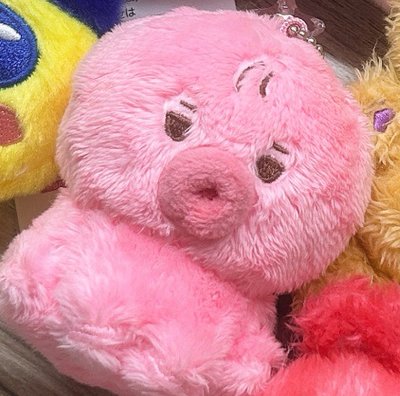 THE BOYZ金善旴飯製娃、姓名牌