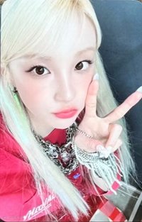 Motivation mu 預售 特典卡 