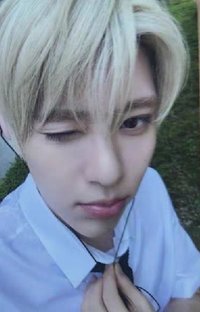 D社寫真 wvs A版 特典卡 