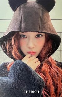 Drama mk 特典卡 預售冬 小熊冬