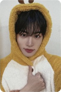 迷三 ms 4.0線下 簽售卡 蜜蜂ver.