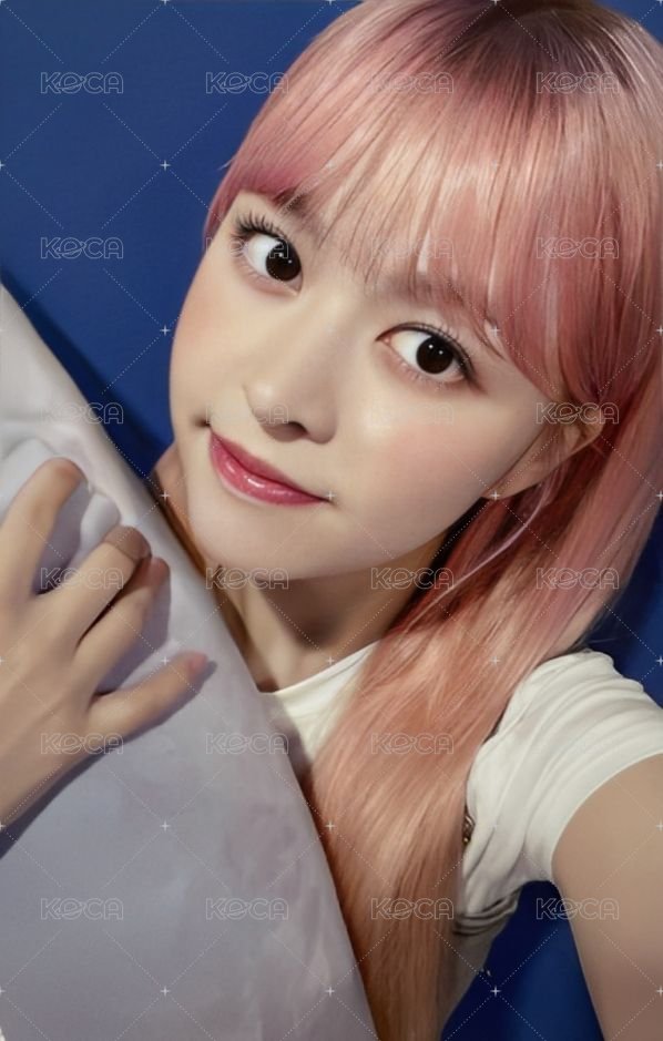 expérgo sw 4.0 簽售卡 抱枕 正面