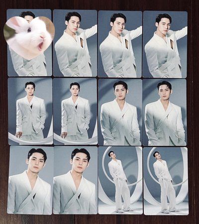 SEVENTEEN NEW_ 新巡隨機卡 奎