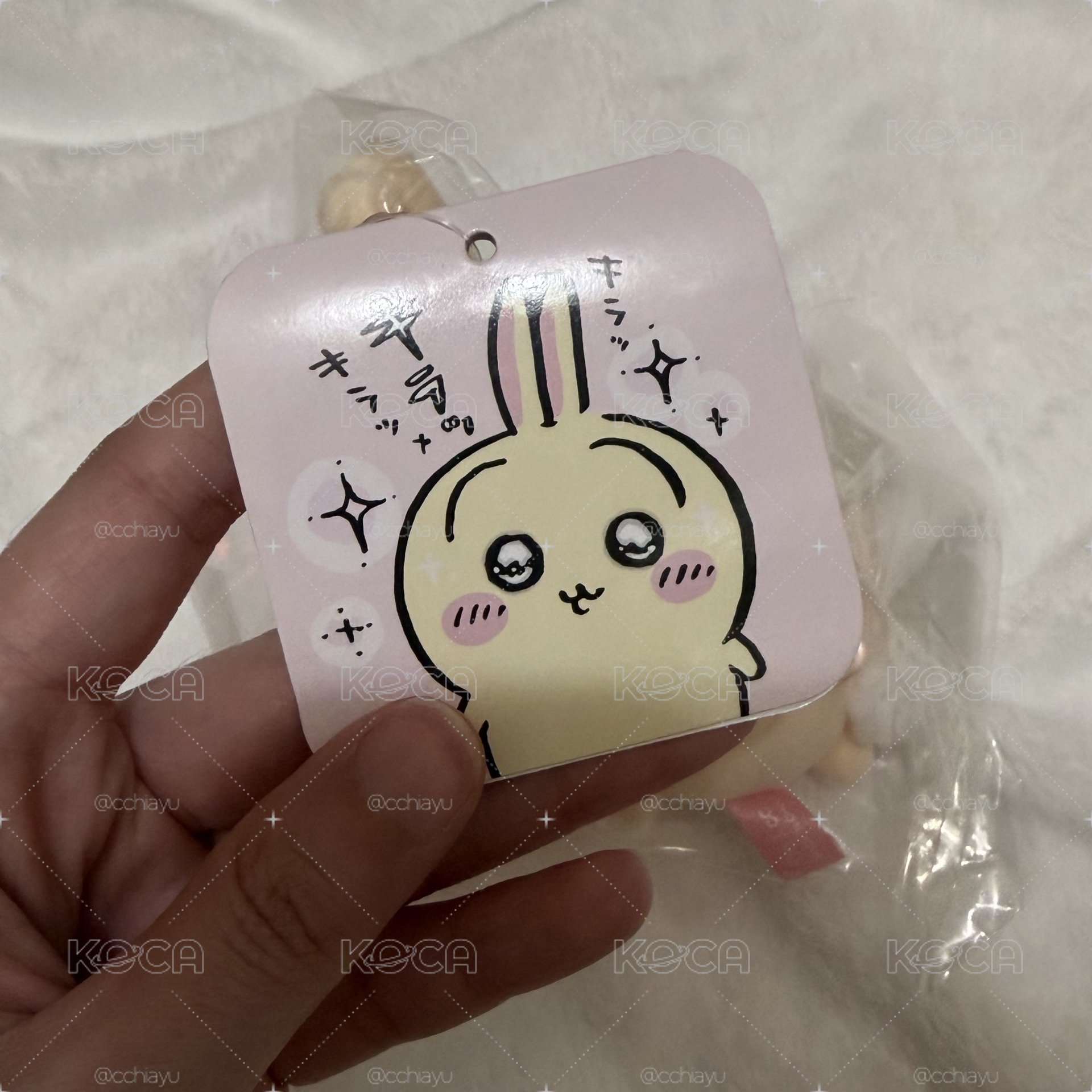 水汪汪兔