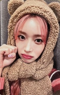 泰迪熊 wm 2.0 特典卡 小熊珉