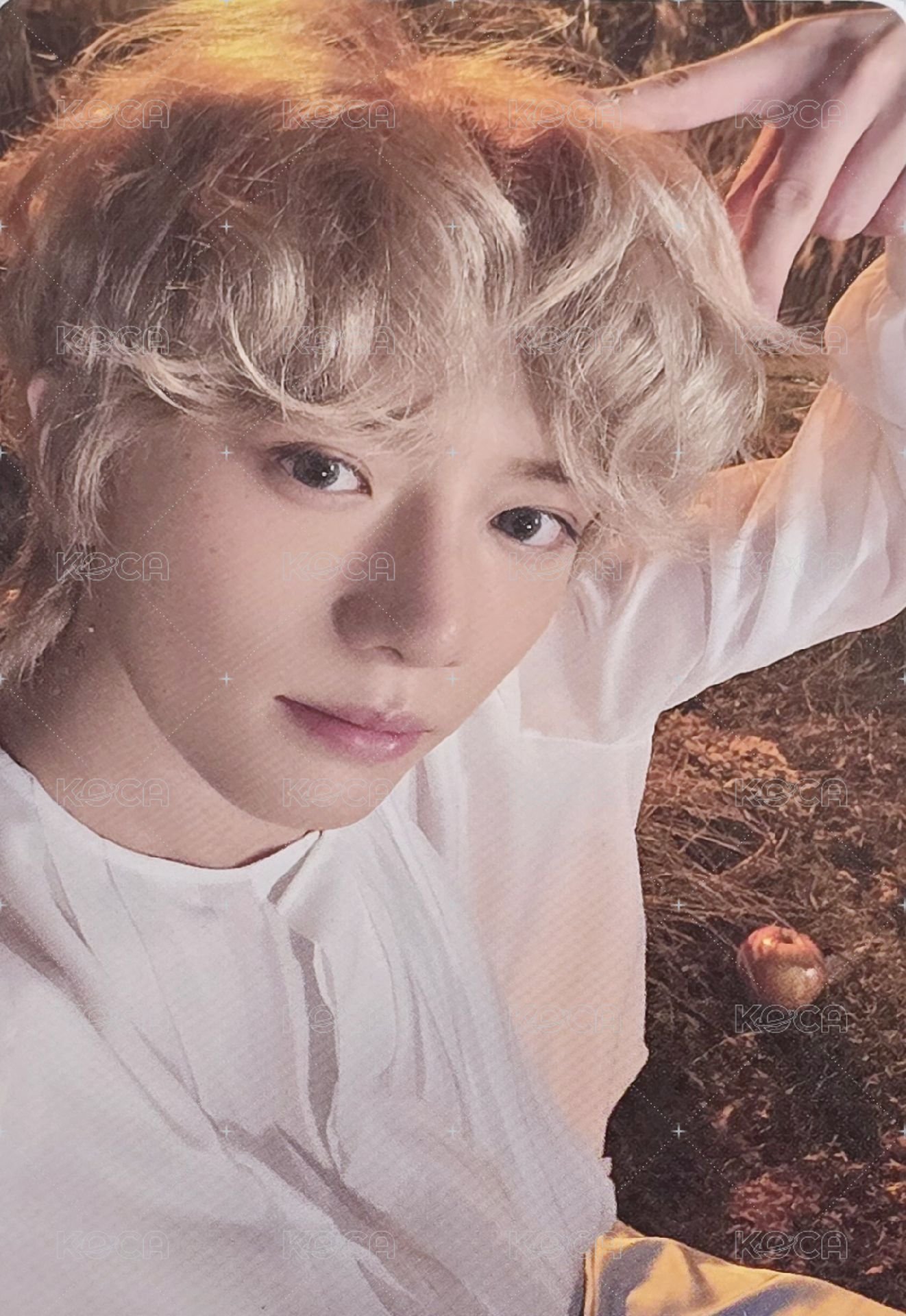 迷六 wvs 特典卡 貓耳圭 正面