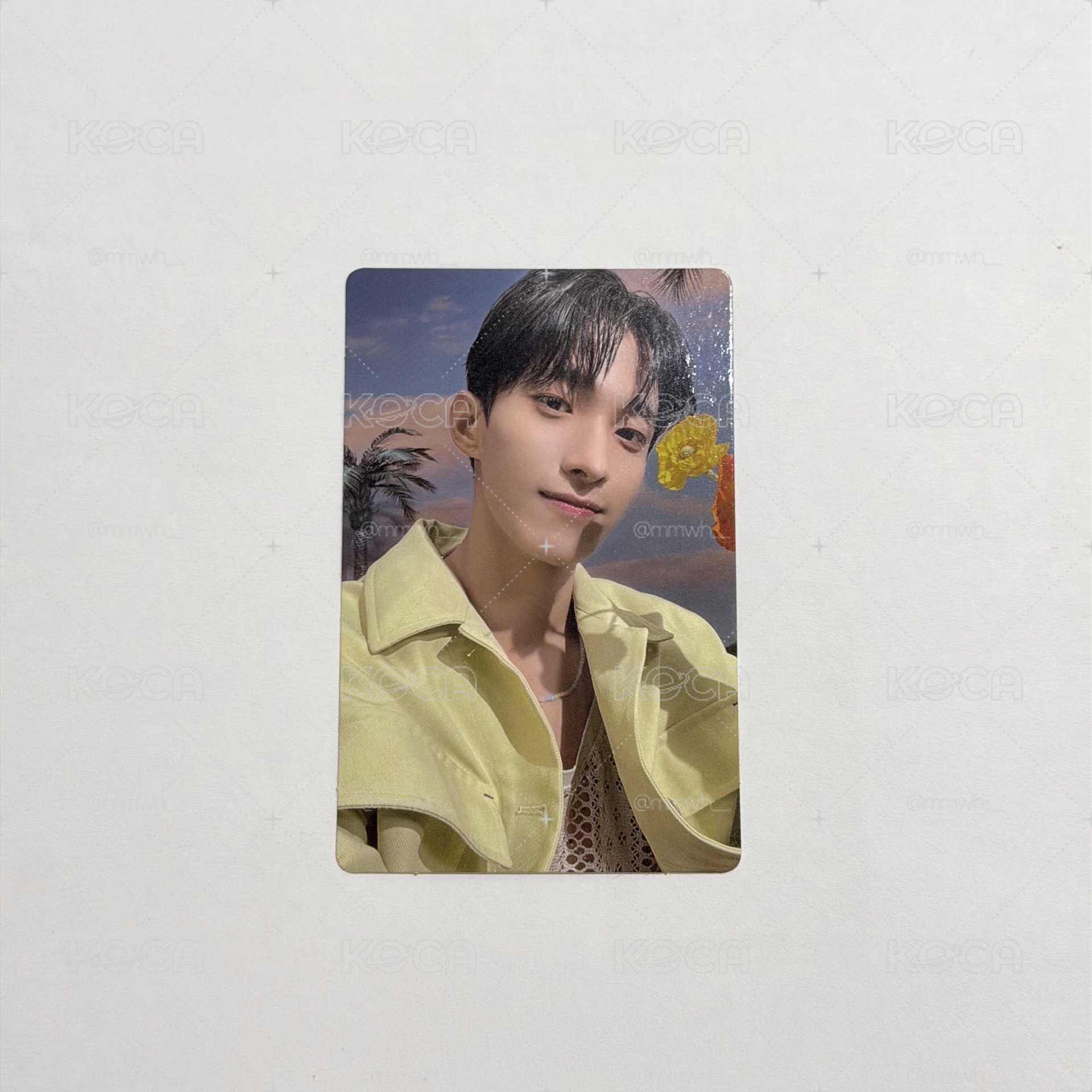 SEVENTEEN 正規四後續 DK 專卡