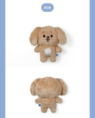 MINITEEN  站娃 碩