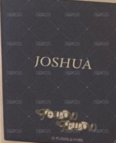 FOLLOW FELLOW 隨機卡 日巡卡包卡 背面