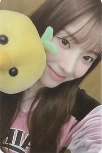 仲夏夜 jyp 2.0 幸運卡 生肖