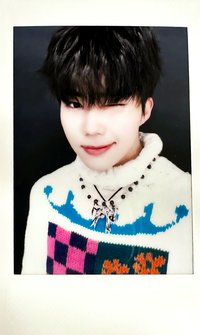 迷二 塔店 幸運卡 拍立得