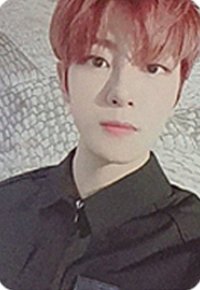 迷四 ms B 特典卡 