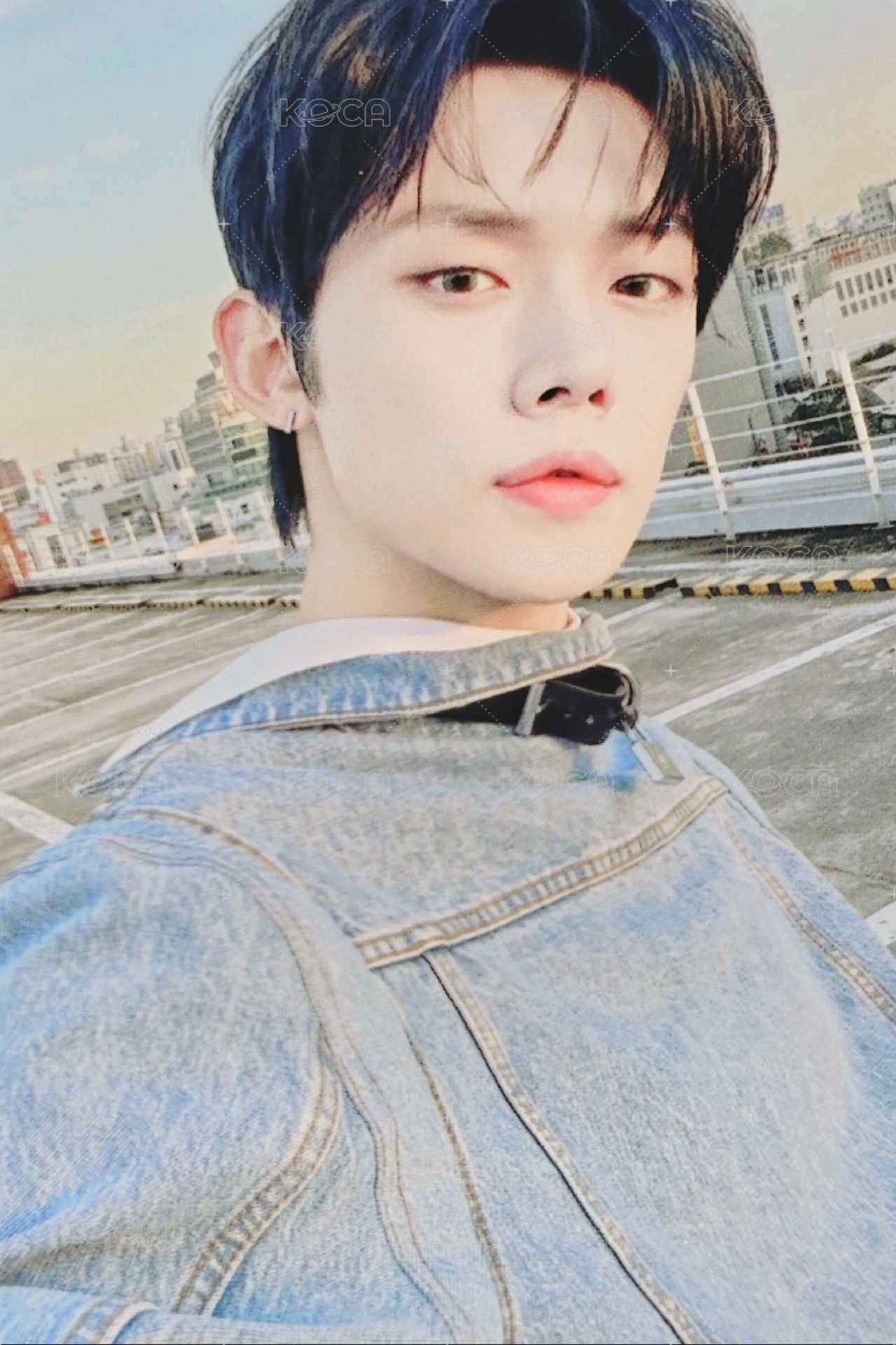 23‘巡迴 演唱會 DVD / CD 卡  正面