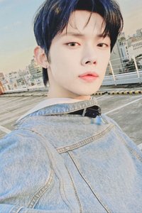 23‘巡迴 演唱會 DVD / CD 卡 