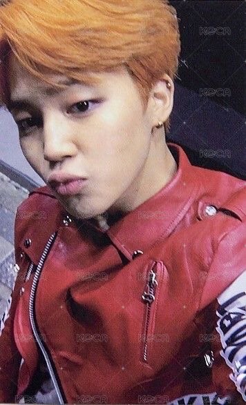 花2 專輯卡  正面