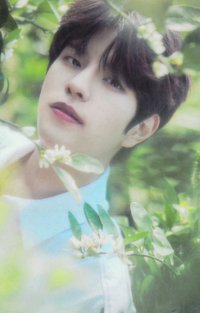 Stay in STAY 周邊卡 固配