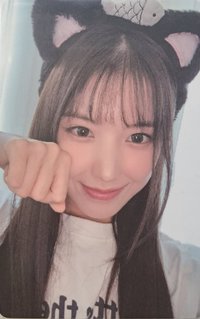 仲夏夜 wm 線下 3.0 簽售卡 小貓友