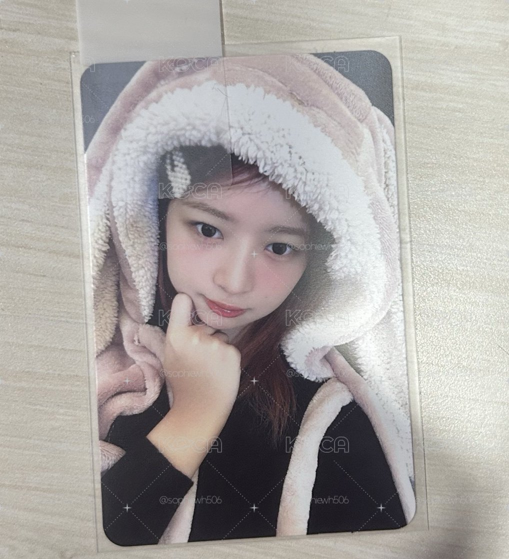 兔毯怜 
