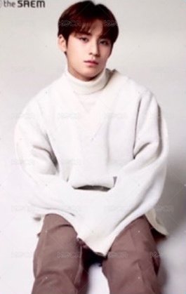 the SAEM 代言卡 雙面卡B 背面