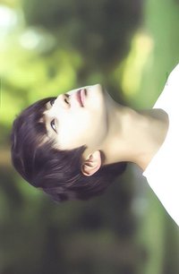 17520 隨機卡 (3/6)