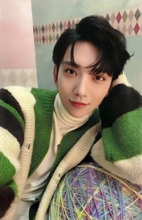 POL 專輯卡 CARAT ver.