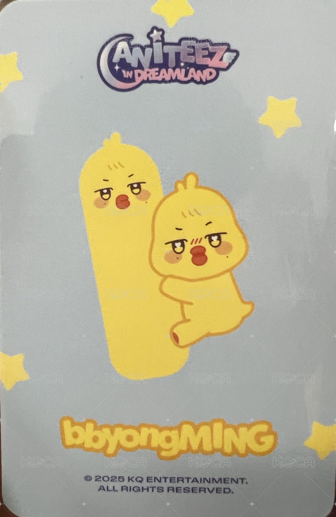 ANITEEZ IN DREAMLAND 周邊卡 長條抱枕卡 背面