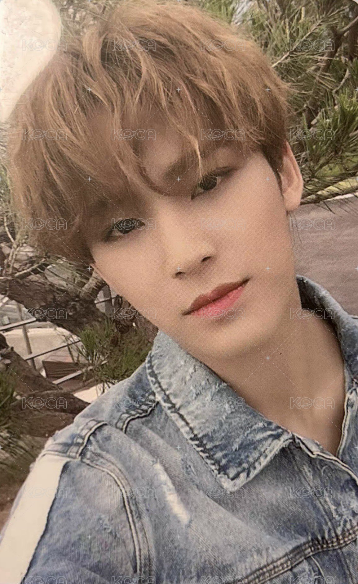 YMMD 專輯卡 MINI5｜SET THE SUN ver. 正面