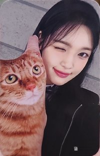 單一 sw 幸運卡 
