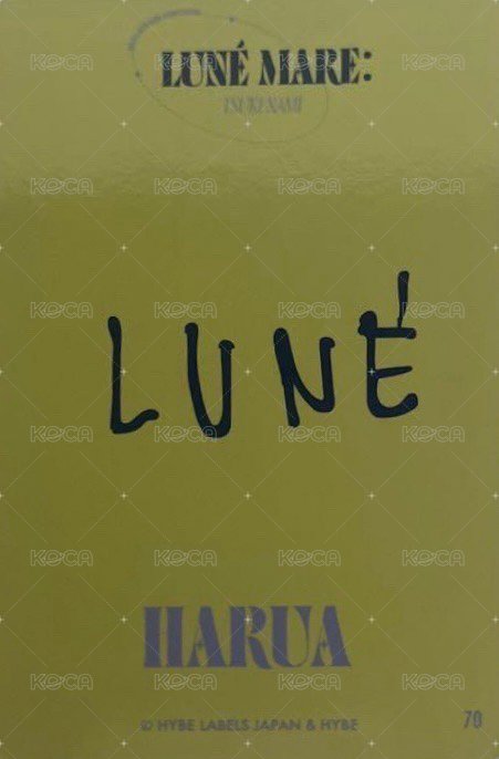 月波 隨機卡  背面