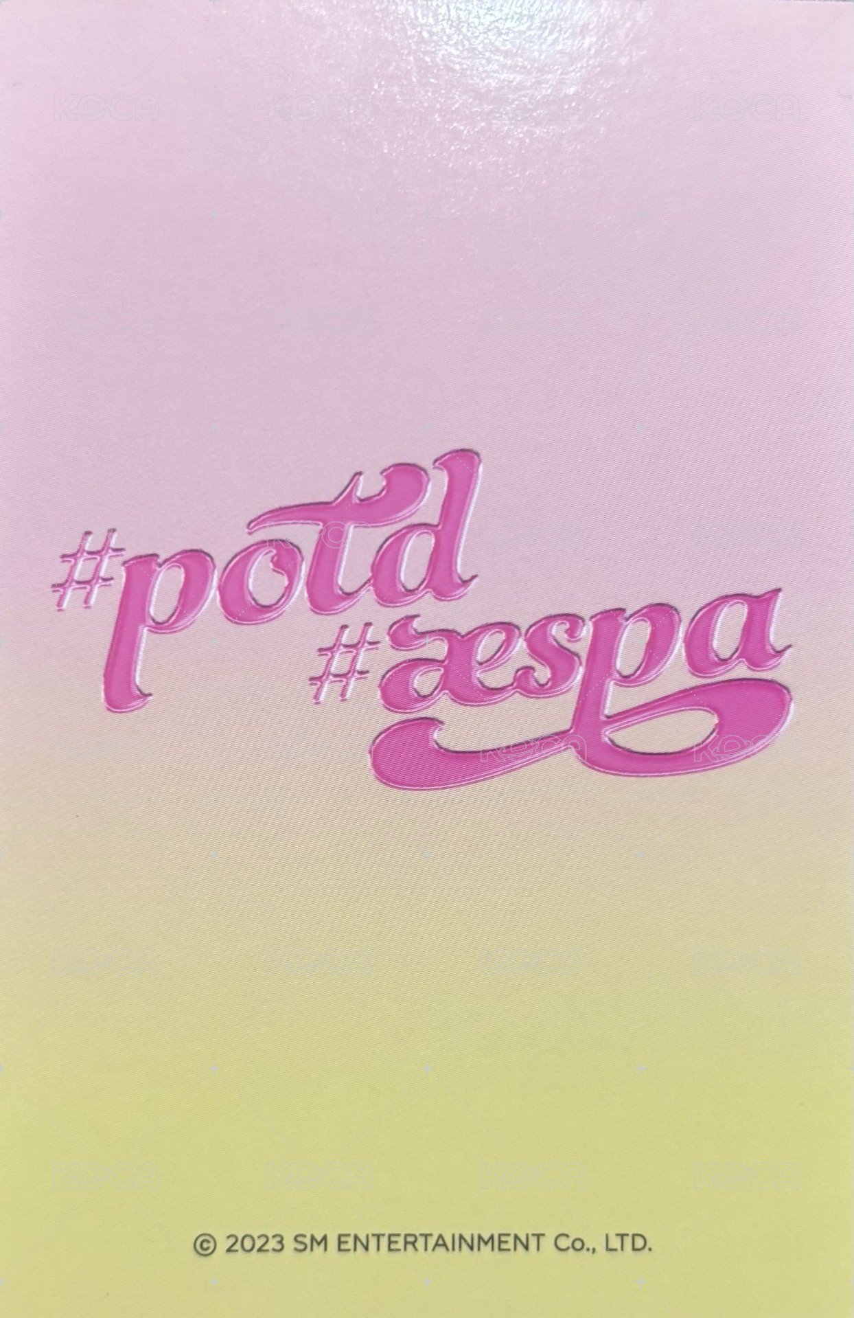 #potd展會 隨機卡 柚 背面