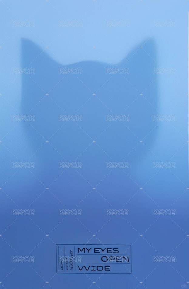 mini 1 專輯卡 ver.單封 背面