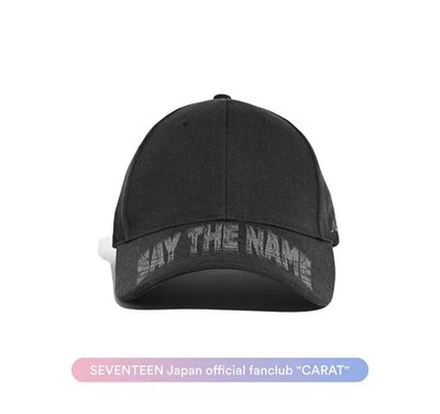 新巡 日巡代購貨付區