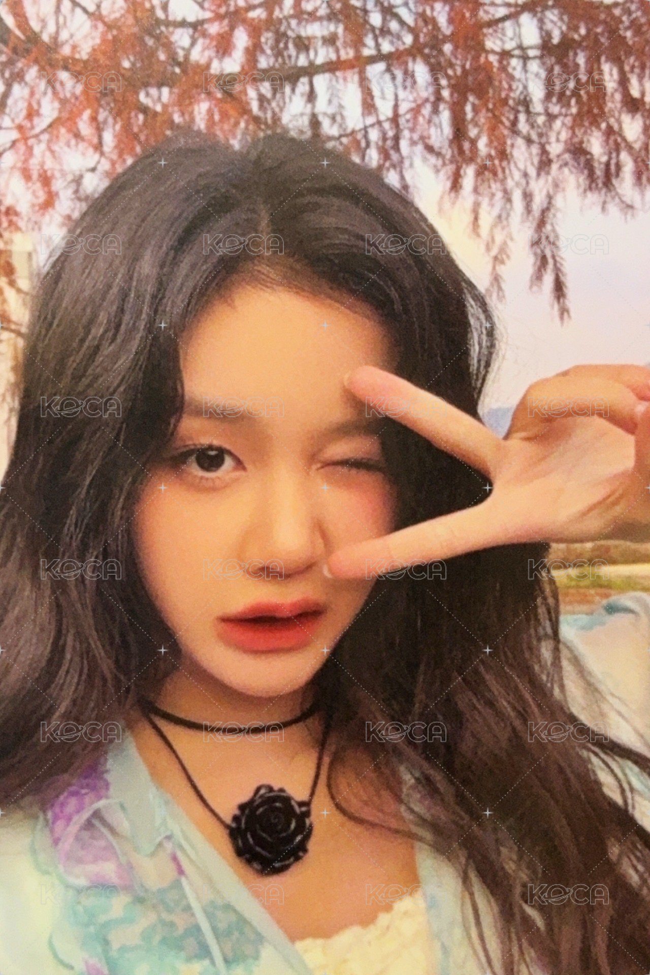 一週年寫真書 yg 特典卡 一週年YG 線下特典 正面