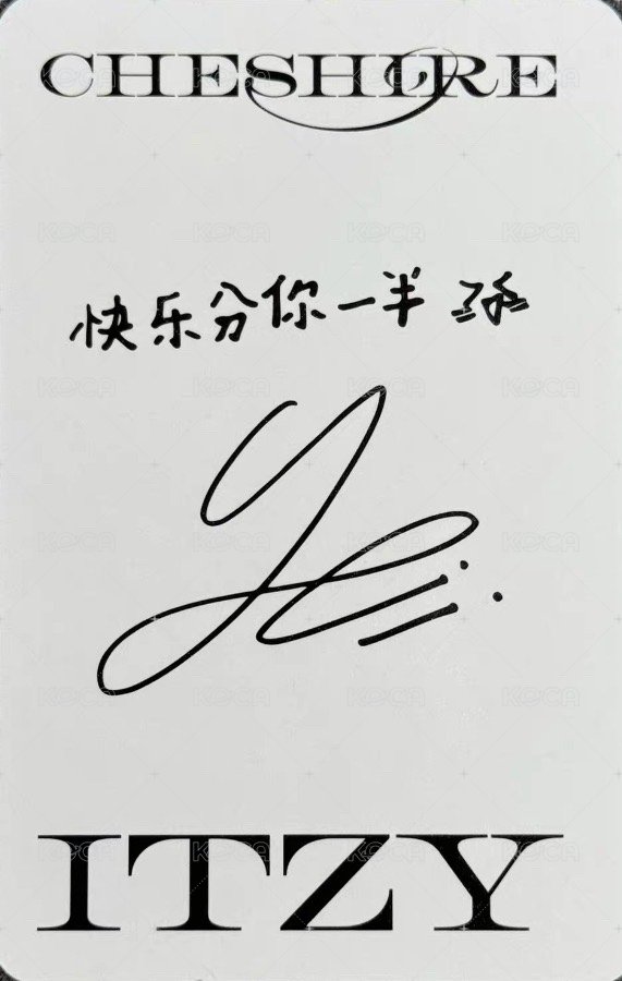 CHESHIRE yzy 預售 特典卡  背面