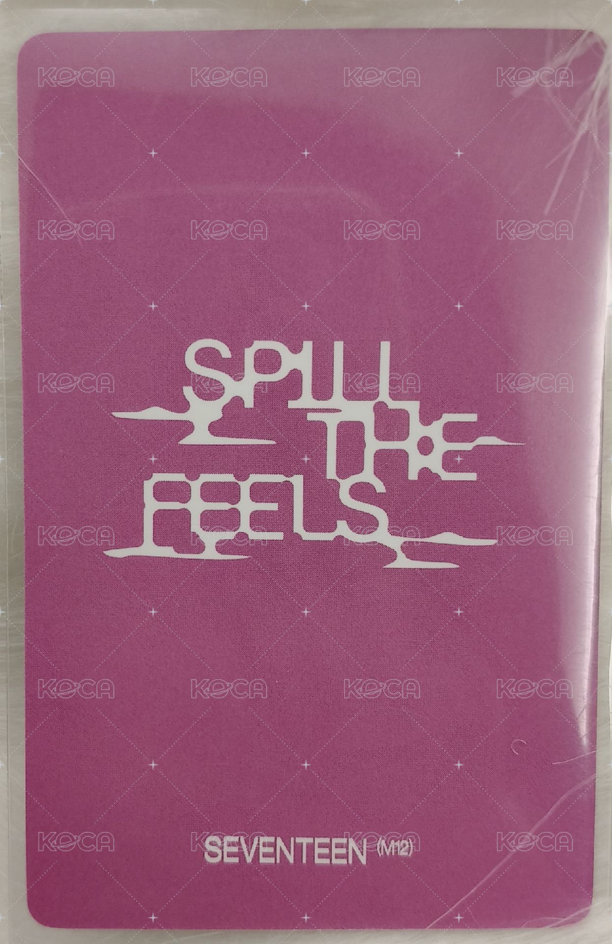 MINI12 yzy c 簽售卡  背面