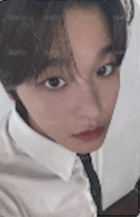 Steady mumo 特典卡  正面