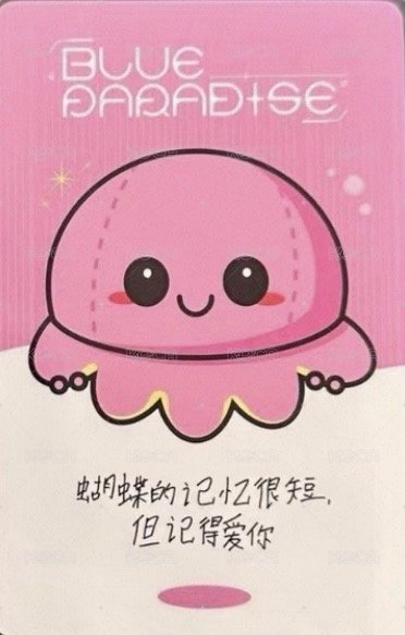 迷五 yzy 2.0 簽售卡 微笑章魚 背面