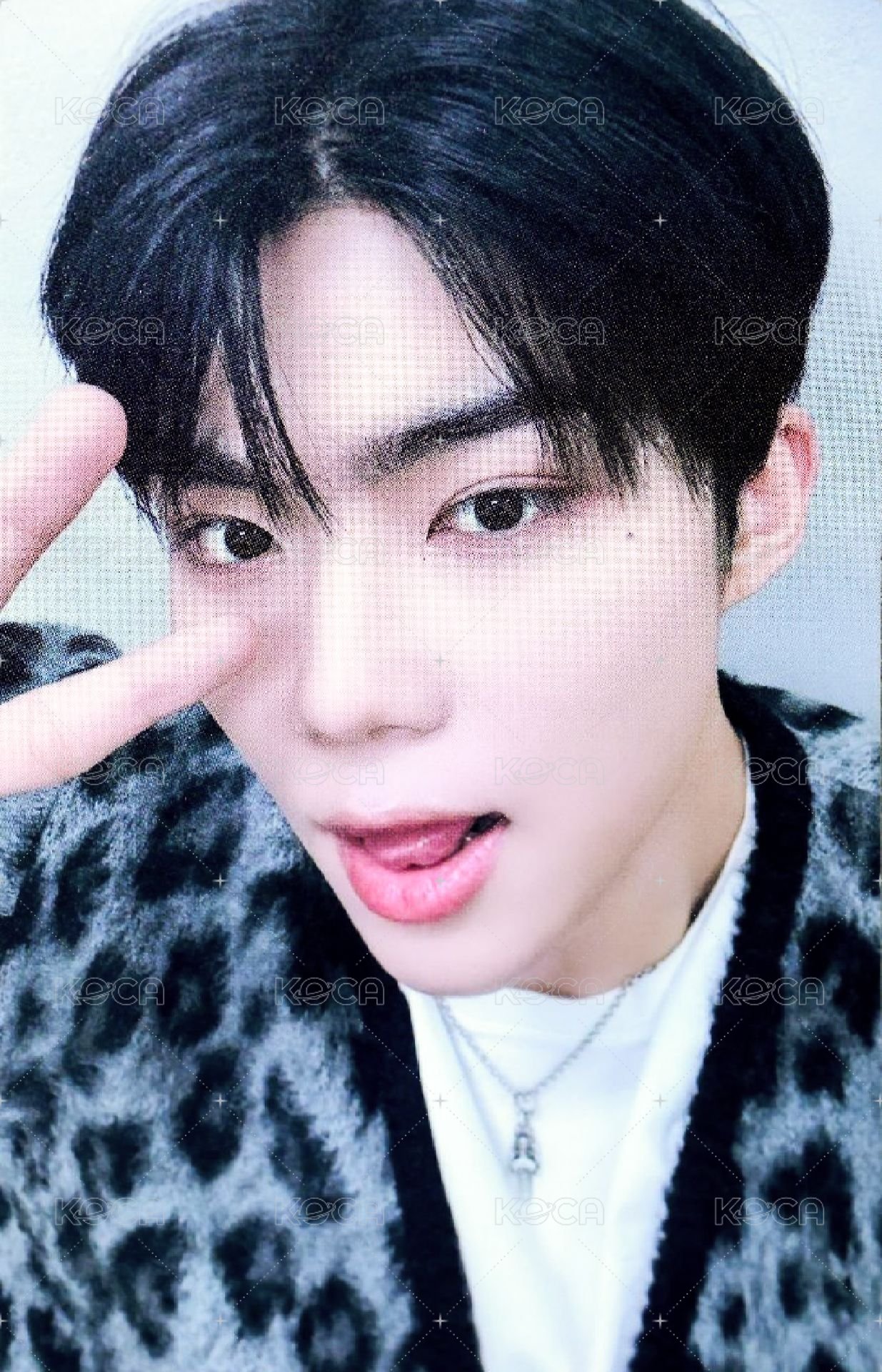 世巡TW 周邊卡 故事書 固配卡 正面