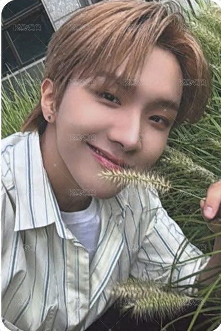 The Action wvs sc A版 直播卡  正面