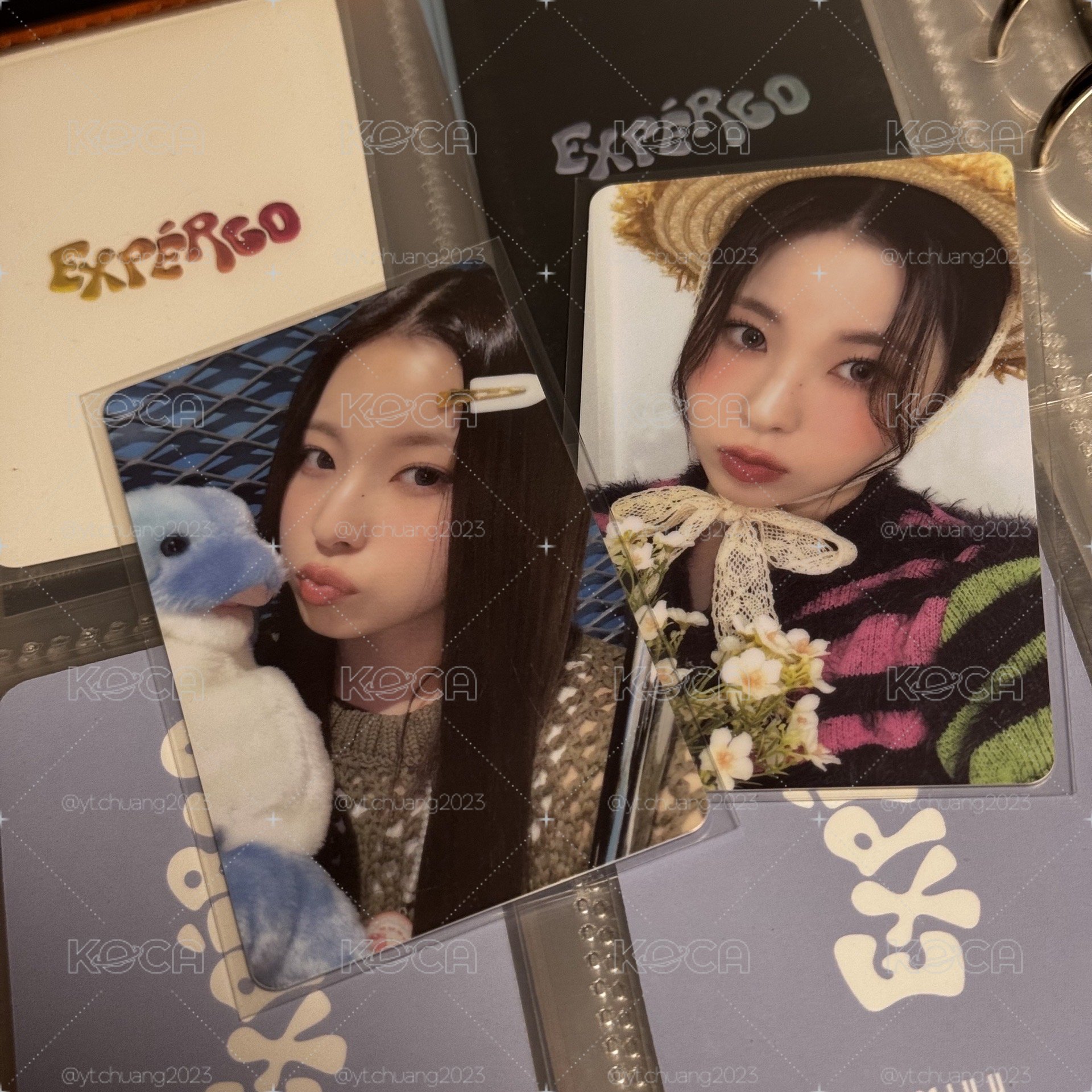 expérgo ms幸運卡 海豚+草帽