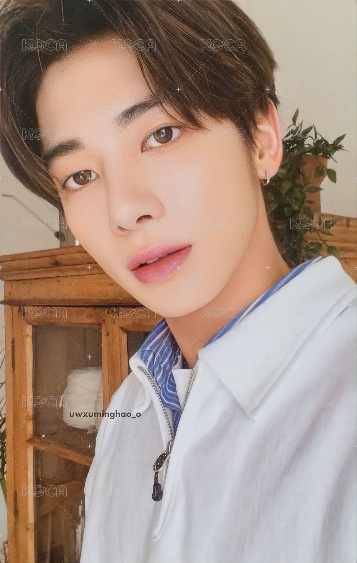 23年曆 wvs 年曆卡 卡 Home ver.姜太顯 正面