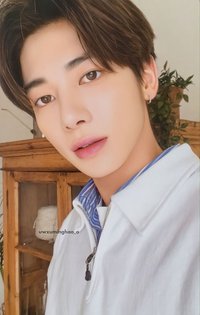 23年曆 wvs 年曆卡 卡 Home ver.姜太顯