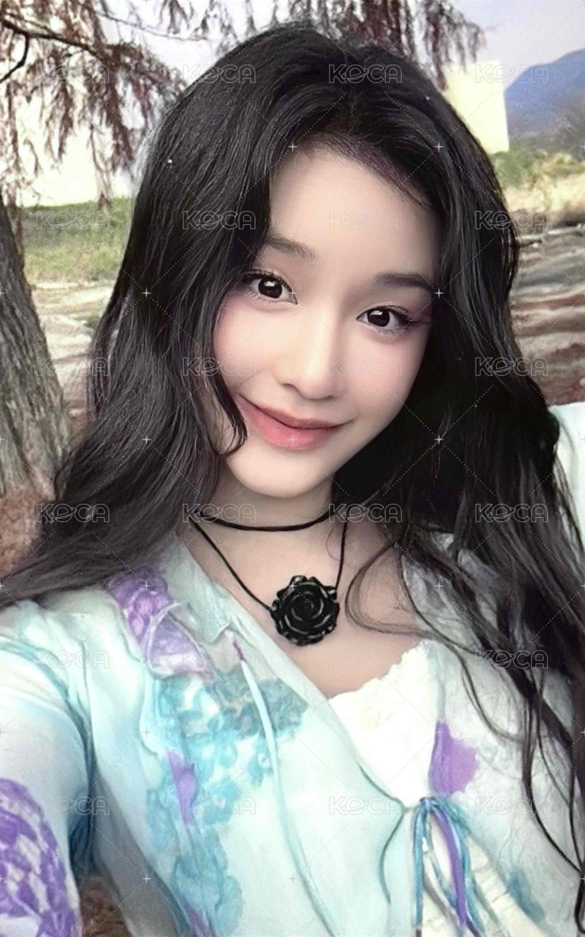 25’世巡 wvs 相框卡 周邊卡  正面