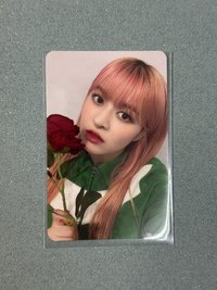 ms莉