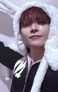 雪明 日咖 特典卡 動物卡