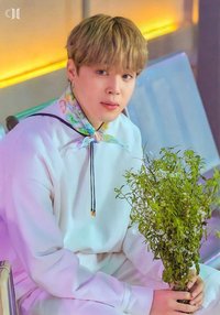 小宇宙 隨機卡 (4/8)